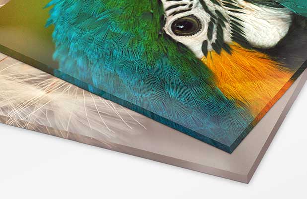 faq-acrylic-material-2.jpg